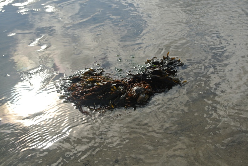 DSC_2890.JPG