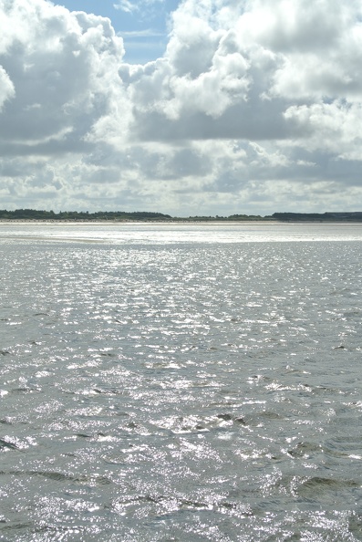 DSC_2897.JPG